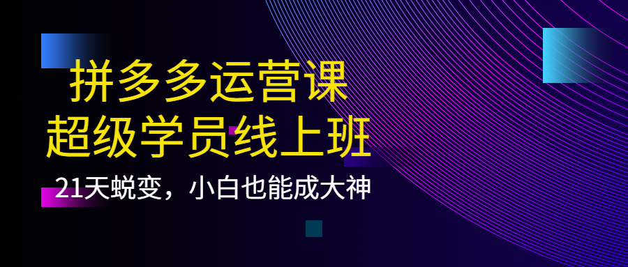 拼多多运营课：超级学员线上班，21天蜕变，小白也能成大神泓锦前程-网创项目资源站-副业项目-创业项目-搞钱项目泓锦前程