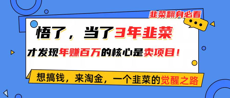 悟了，当了3年韭菜，才发现网赚圈年赚100万的核心是卖项目，含泪分享！泓锦前程-网创项目资源站-副业项目-创业项目-搞钱项目泓锦前程
