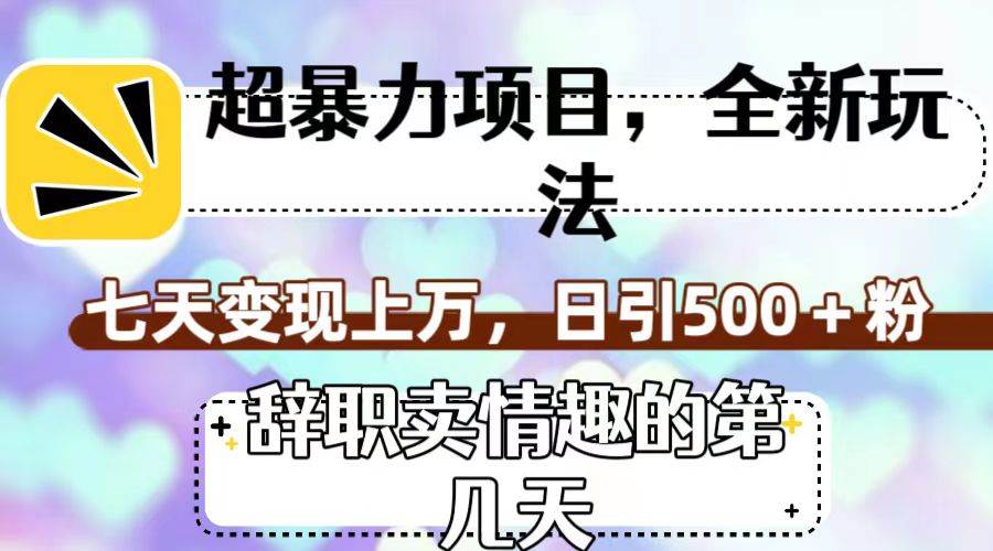 超暴利项目，全新玩法（辞职卖情趣的第几天），七天变现上万，日引500+粉泓锦前程-网创项目资源站-副业项目-创业项目-搞钱项目泓锦前程