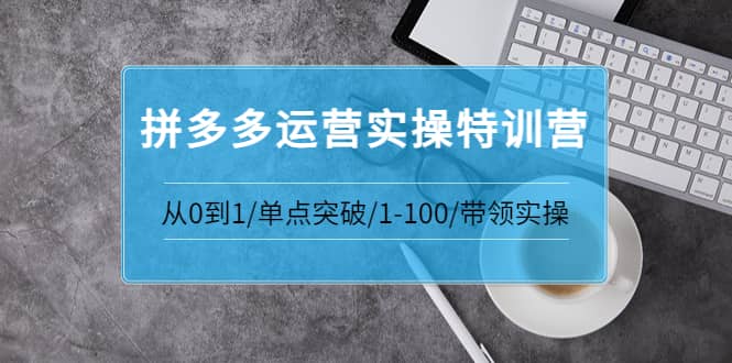 拼多多运营实操特训营：从0到1/单点突破/1-100/带领实操 价值2980元泓锦前程-网创项目资源站-副业项目-创业项目-搞钱项目泓锦前程