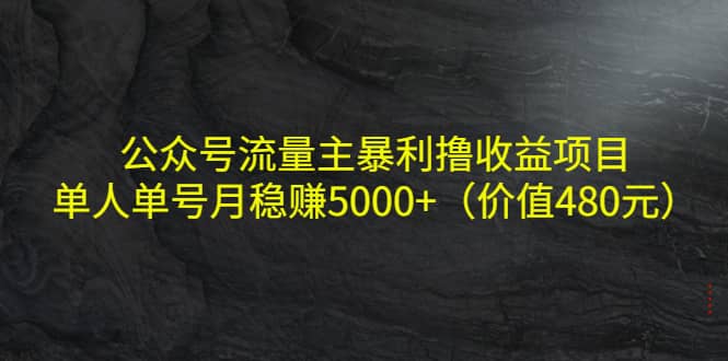 公众号流量主暴利撸收益项目，单人单号月稳赚5000+（价值480元）泓锦前程-网创项目资源站-副业项目-创业项目-搞钱项目泓锦前程