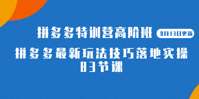 2023拼多多·特训营高阶班【9月13日更新】拼多多最新玩法技巧落地实操-83节泓锦前程-网创项目资源站-副业项目-创业项目-搞钱项目泓锦前程