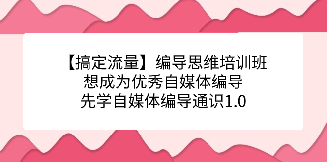 【搞定流量】编导思维培训班，想成为优秀自媒体编导先学自媒体编导通识1.0泓锦前程-网创项目资源站-副业项目-创业项目-搞钱项目泓锦前程