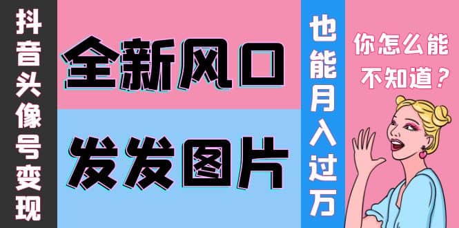 抖音头像号变现0基础教程泓锦前程-网创项目资源站-副业项目-创业项目-搞钱项目泓锦前程