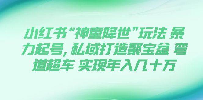 小红书“神童降世”玩法 暴力起号,私域打造聚宝盆 弯道超车 实现年入几十万泓锦前程-网创项目资源站-副业项目-创业项目-搞钱项目泓锦前程