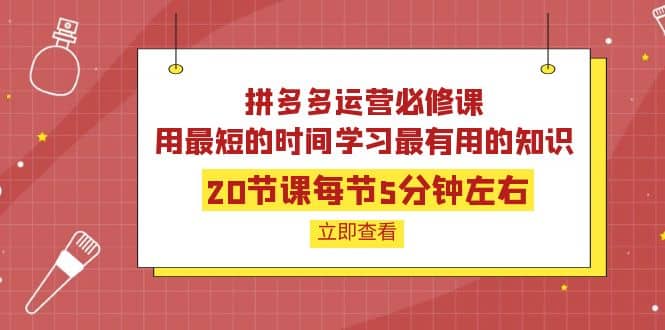 拼多多运营必修课：20节课每节5分钟左右，用最短的时间学习最有用的知识泓锦前程-网创项目资源站-副业项目-创业项目-搞钱项目泓锦前程