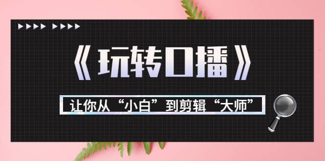 月营业额700万+大佬教您《玩转口播》让你从“小白”到剪辑“大师”泓锦前程-网创项目资源站-副业项目-创业项目-搞钱项目泓锦前程