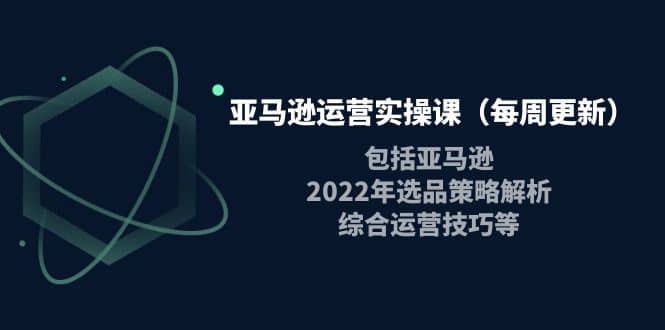 亚马逊运营实操课（每周更新）包括亚马逊2022选品策略解析，综合运营技巧等泓锦前程-网创项目资源站-副业项目-创业项目-搞钱项目泓锦前程