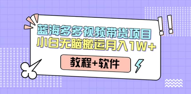 人人都能操作的蓝海多多视频带货项目 小白无脑搬运（教程+软件）泓锦前程-网创项目资源站-副业项目-创业项目-搞钱项目泓锦前程