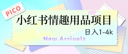 最新小红书情趣用品项目，日入1-4k泓锦前程-网创项目资源站-副业项目-创业项目-搞钱项目泓锦前程