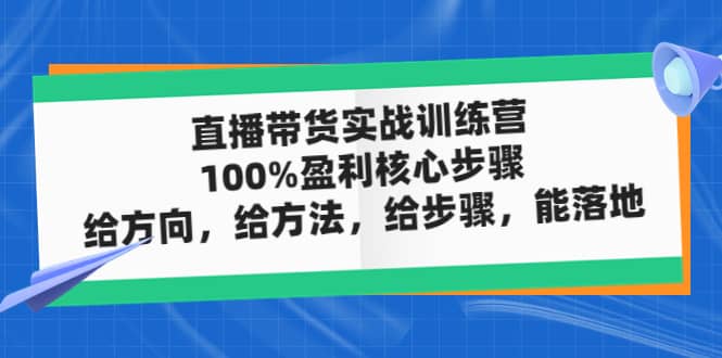直播带货实战训练营：100%盈利核心步骤，给方向，给方法，给步骤，能落地泓锦前程-网创项目资源站-副业项目-创业项目-搞钱项目泓锦前程