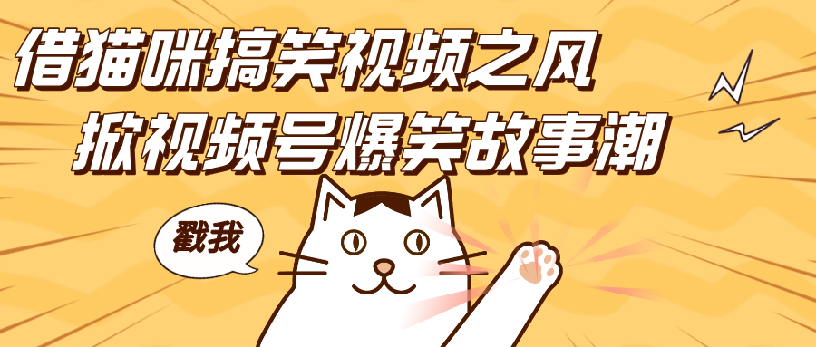 借猫咪搞笑视频之风，掀视频号爆笑故事潮，轻松日赚四位数，开启无门槛赚钱新体验！泓锦前程-网创项目资源站-副业项目-创业项目-搞钱项目泓锦前程
