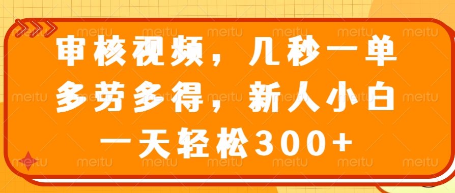 审核视频项目，几秒一单，多劳多得，新人小白一天轻松300+泓锦前程-网创项目资源站-副业项目-创业项目-搞钱项目泓锦前程