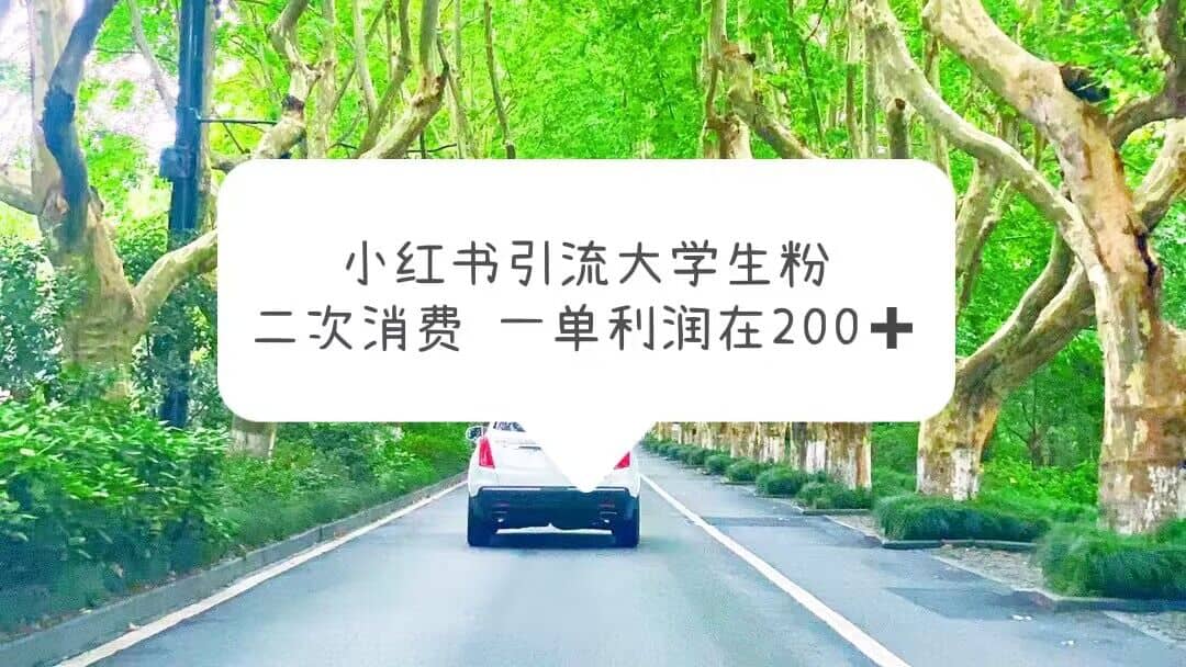 小红书引流大学生粉，变现项目，一单利润在200+（教程+资源）泓锦前程-网创项目资源站-副业项目-创业项目-搞钱项目泓锦前程