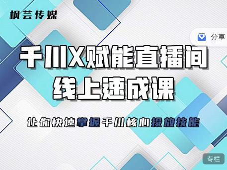 枫芸传媒-线上千川提升课，提升千川认知，提升千川投放效果泓锦前程-网创项目资源站-副业项目-创业项目-搞钱项目泓锦前程