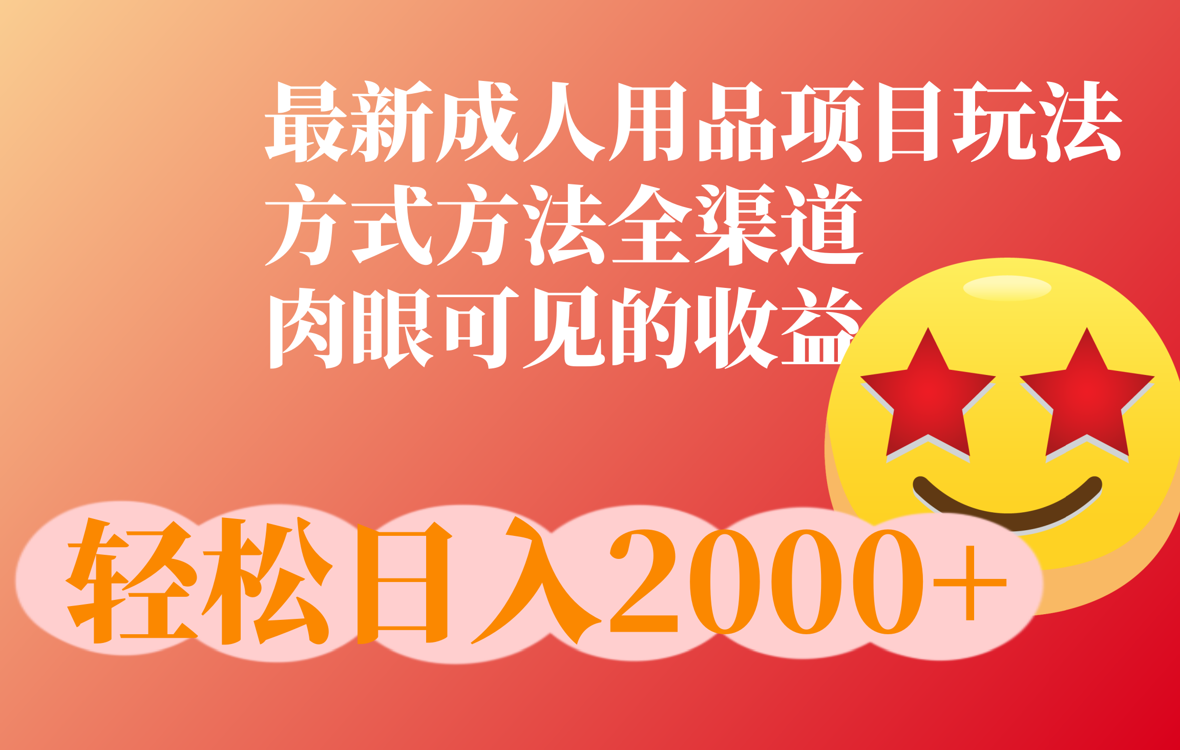 成人用品项目最新玩法，方式方法全渠道泓锦前程-网创项目资源站-副业项目-创业项目-搞钱项目泓锦前程