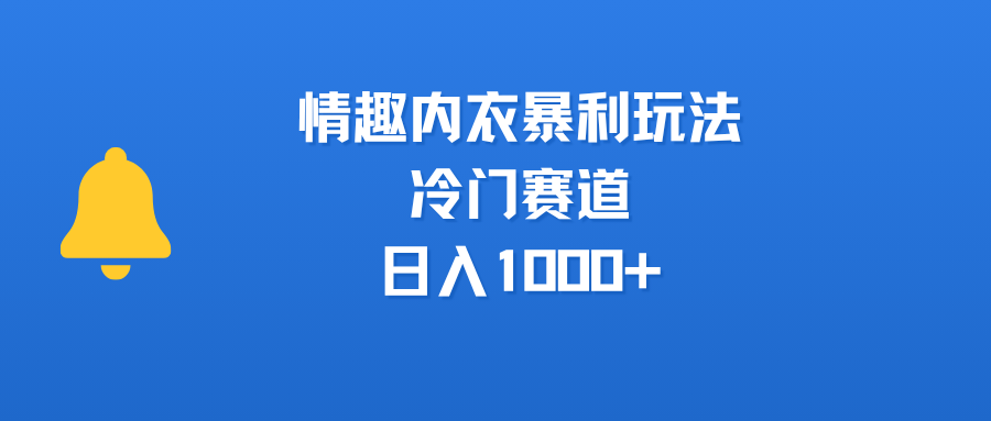 情趣内衣暴利玩法，冷门赛道，日入1000+泓锦前程-网创项目资源站-副业项目-创业项目-搞钱项目泓锦前程