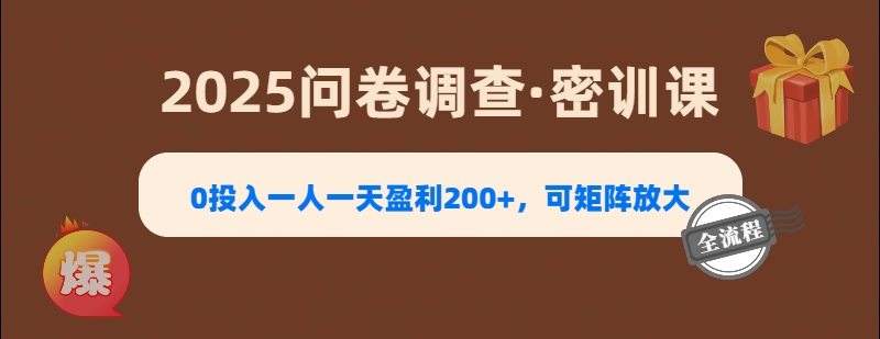2025《问卷调查》0投入一人一天盈利200+，可矩阵放大泓锦前程-网创项目资源站-副业项目-创业项目-搞钱项目泓锦前程