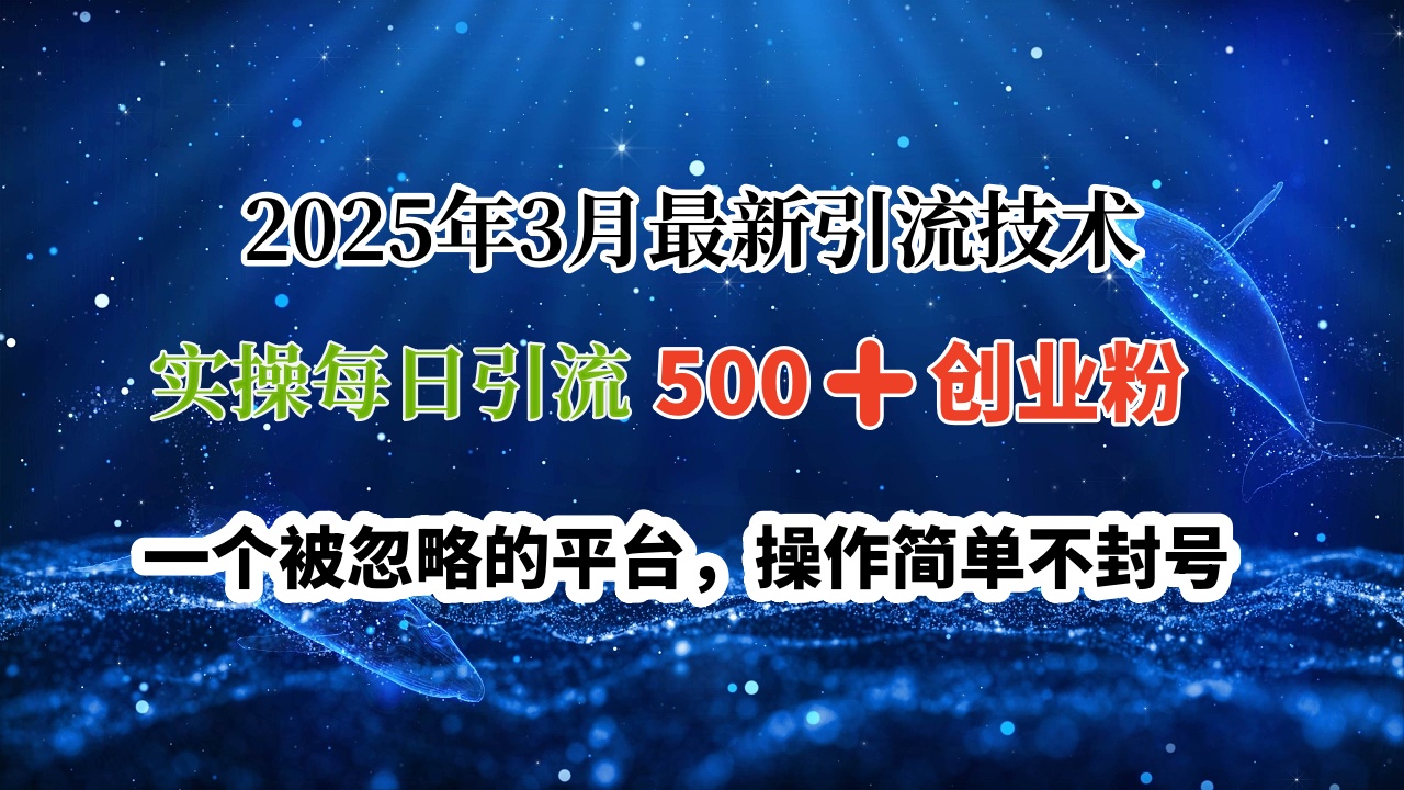 2025年3月最新引流技术，实操每日引流500➕创业粉，一个被忽略的平台，操作简单不封号泓锦前程-网创项目资源站-副业项目-创业项目-搞钱项目泓锦前程