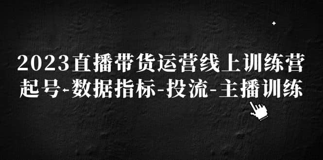 2023直播带货运营线上训练营，起号-数据指标-投流-主播训练泓锦前程-网创项目资源站-副业项目-创业项目-搞钱项目泓锦前程