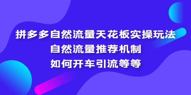 拼多多自然流量天花板实操玩法：自然流量推荐机制，如何开车引流等等泓锦前程-网创项目资源站-副业项目-创业项目-搞钱项目泓锦前程