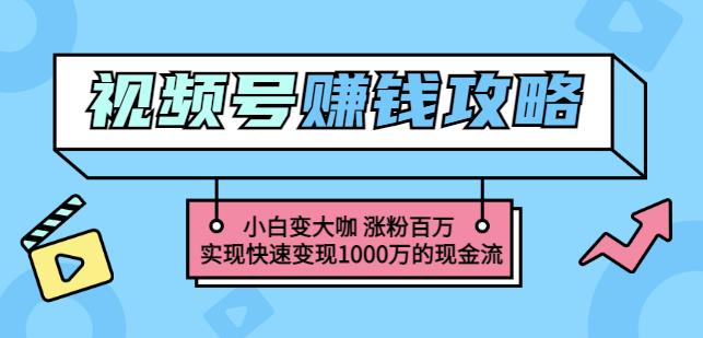 玩转微信视频号赚钱：小白变大咖涨粉百万实现快速变现1000万的现金流泓锦前程-网创项目资源站-副业项目-创业项目-搞钱项目泓锦前程