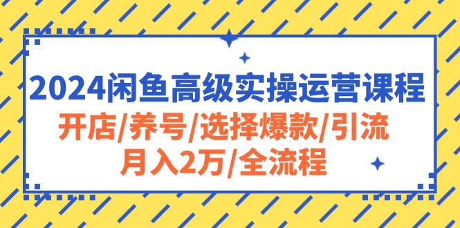 2024闲鱼高级实操运营课程：开店/养号/选择爆款/引流/月入2万/全流程泓锦前程-网创项目资源站-副业项目-创业项目-搞钱项目泓锦前程