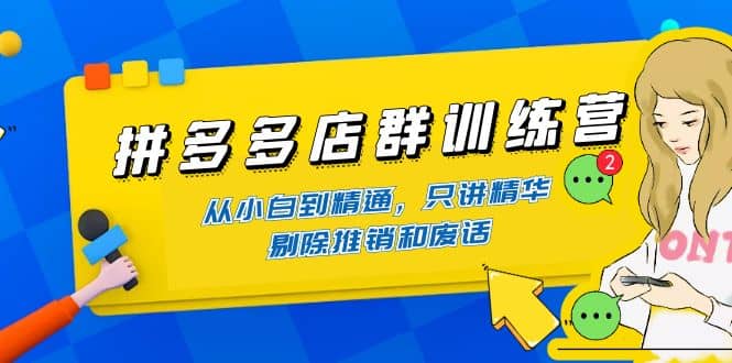 拼多多店群训练营：从小白到精通，只讲精华，剔除推销和废话泓锦前程-网创项目资源站-副业项目-创业项目-搞钱项目泓锦前程