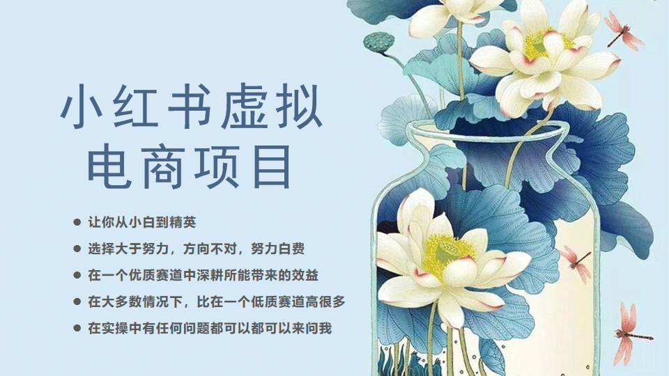 小红书虚拟电商从0到1，让你从小白到精英（20节实操课程）泓锦前程-网创项目资源站-副业项目-创业项目-搞钱项目泓锦前程