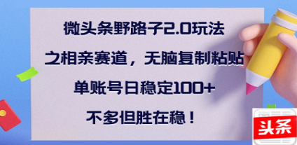 全网首发微头条野路子2.0玩法之相亲赛道，无脑搬砖复制粘贴，单账号日稳定300+保姆级教程泓锦前程-网创项目资源站-副业项目-创业项目-搞钱项目泓锦前程