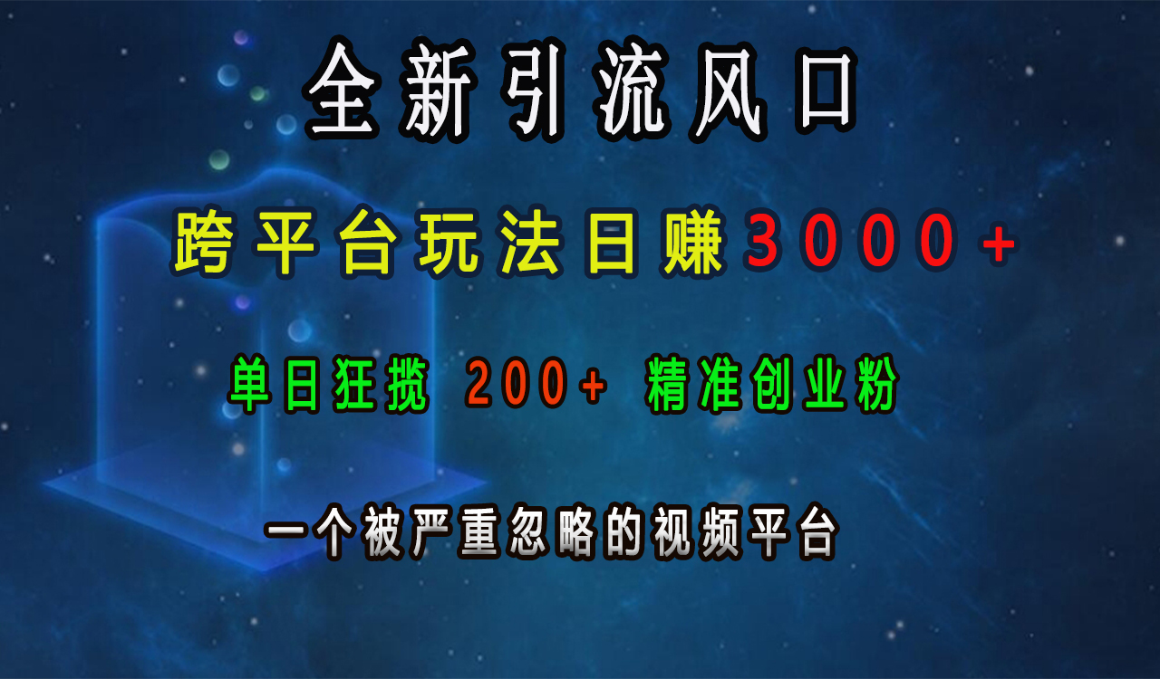 全新引流风口，跨平台玩法日赚3000+，单日狂揽200+精准创业粉，一个被严重忽略的视频平台泓锦前程-网创项目资源站-副业项目-创业项目-搞钱项目泓锦前程