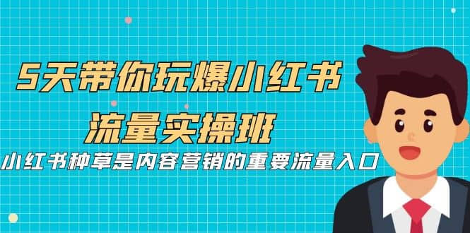 5天带你玩爆小红书流量实操班，小红书种草是内容营销的重要流量入口泓锦前程-网创项目资源站-副业项目-创业项目-搞钱项目泓锦前程