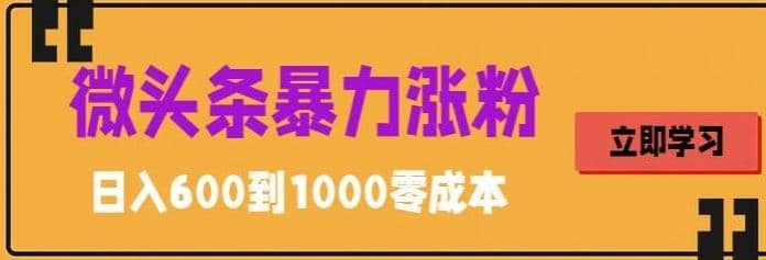 微头条暴力涨粉技巧搬运文案就能涨几万粉丝，简单0成本，日赚600泓锦前程-网创项目资源站-副业项目-创业项目-搞钱项目泓锦前程