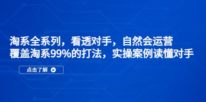 淘系全系列，看透对手，自然会运营，覆盖淘系99%·打法，实操案例读懂对手泓锦前程-网创项目资源站-副业项目-创业项目-搞钱项目泓锦前程