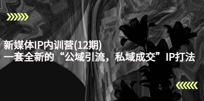 新媒体IP内训营(12期)，一套全新的“公域引流，私域成交”IP打法，直接带走泓锦前程-网创项目资源站-副业项目-创业项目-搞钱项目泓锦前程