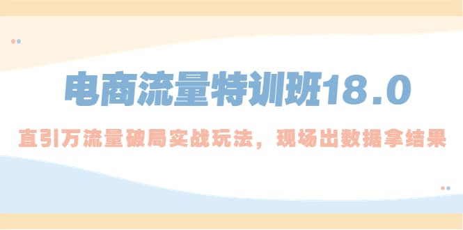 电商流量特训班18.0，直引万流量破局实操玩法，现场出数据拿结果泓锦前程-网创项目资源站-副业项目-创业项目-搞钱项目泓锦前程