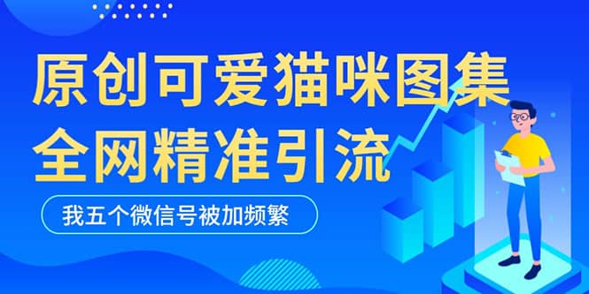 黑科技纯原创可爱猫咪图片，全网精准引流，实操5个VX号被加频繁泓锦前程-网创项目资源站-副业项目-创业项目-搞钱项目泓锦前程