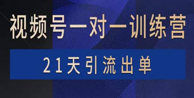 视频号训练营：带货，涨粉，直播，游戏，四大变现新方向，21天引流出单泓锦前程-网创项目资源站-副业项目-创业项目-搞钱项目泓锦前程
