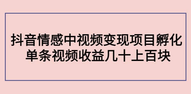 抖音情感中视频变现项目孵化泓锦前程-网创项目资源站-副业项目-创业项目-搞钱项目泓锦前程