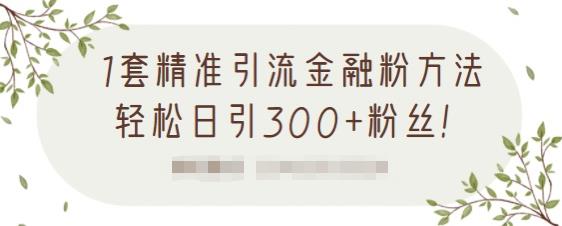 1套精准引流金融粉方法，轻松日引300+粉丝【视频课程】泓锦前程-网创项目资源站-副业项目-创业项目-搞钱项目泓锦前程