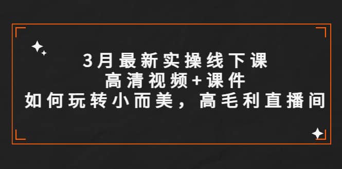 3月最新实操线下课高清视频+课件，如何玩转小而美，高毛利直播间泓锦前程-网创项目资源站-副业项目-创业项目-搞钱项目泓锦前程