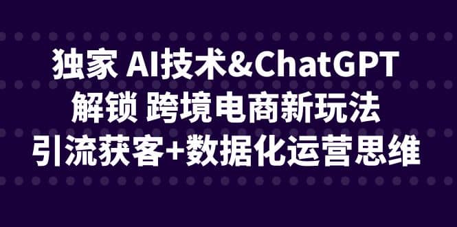 独家 AI技术ChatGPT解锁 跨境电商新玩法，引流获客+数据化运营思维泓锦前程-网创项目资源站-副业项目-创业项目-搞钱项目泓锦前程