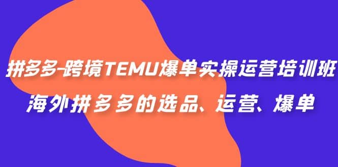 拼多多-跨境TEMU爆单实操运营培训班，海外拼多多的选品、运营、爆单泓锦前程-网创项目资源站-副业项目-创业项目-搞钱项目泓锦前程