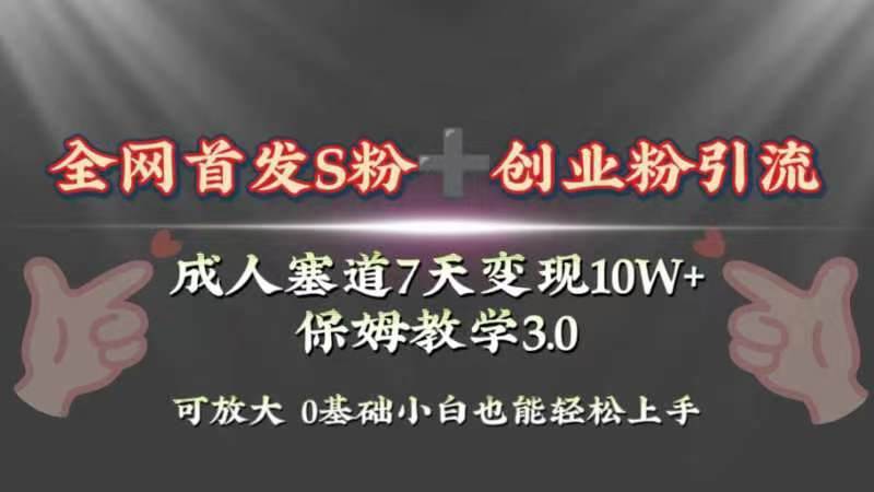 全网首发s粉加创业粉引流变现，成人用品赛道7天变现10w+保姆教学3.0泓锦前程-网创项目资源站-副业项目-创业项目-搞钱项目泓锦前程
