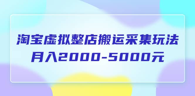 淘宝虚拟整店搬运采集玩法分享课：月入2000-5000元（5节课）泓锦前程-网创项目资源站-副业项目-创业项目-搞钱项目泓锦前程
