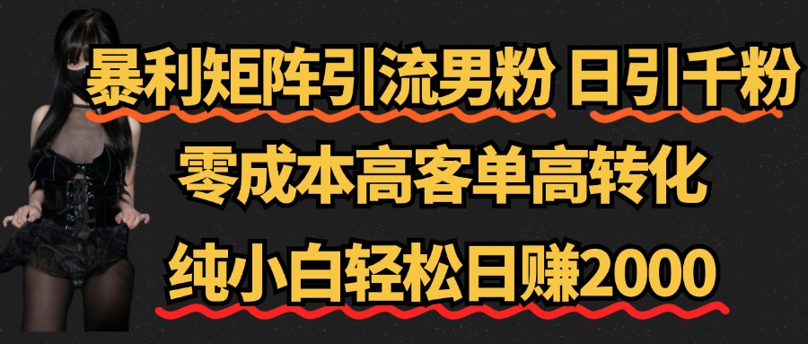 暴利矩阵引流男粉（日引千粉），零成本高客单高转化，纯小白轻松日赚2000+泓锦前程-网创项目资源站-副业项目-创业项目-搞钱项目泓锦前程