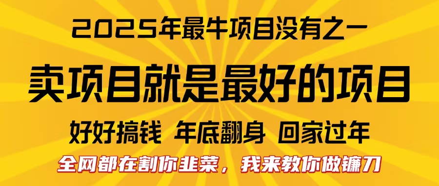 全网都在割你韭菜，我来教你做镰刀。卖项目就是最好的项目，2025年最牛互联网项目泓锦前程-网创项目资源站-副业项目-创业项目-搞钱项目泓锦前程