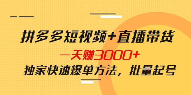 拼多多短视频+直播带货，一天赚3000+独家快速爆单方法，批量起号泓锦前程-网创项目资源站-副业项目-创业项目-搞钱项目泓锦前程