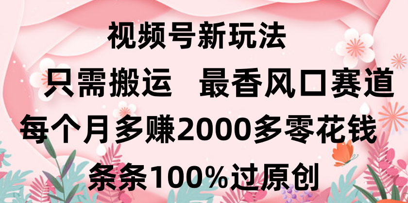 日入2000+，条条100%过原创，视频号最香风口赛道，小白轻松上手泓锦前程-网创项目资源站-副业项目-创业项目-搞钱项目泓锦前程