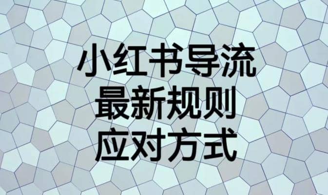 小红书导流最新规则应对方式【揭秘】泓锦前程-网创项目资源站-副业项目-创业项目-搞钱项目泓锦前程